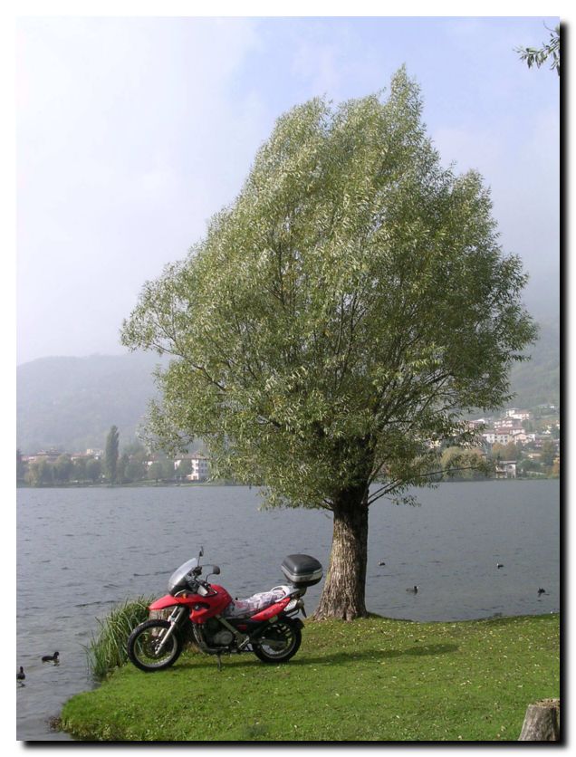 069 - Il riposo del fido destriero